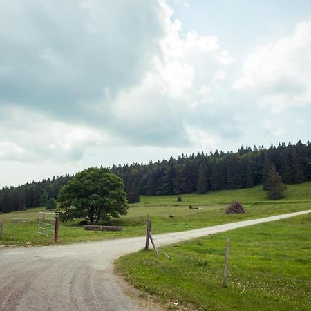 Bois-raiguel chasseral Corgemont Extérieur photo